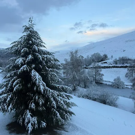 Appartement Loudervielle Loudervielle