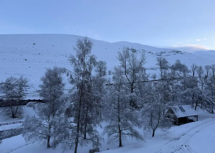 Appartement Loudervielle