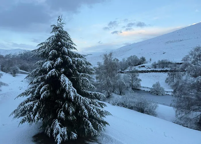 Appartement Loudervielle Loudervielle